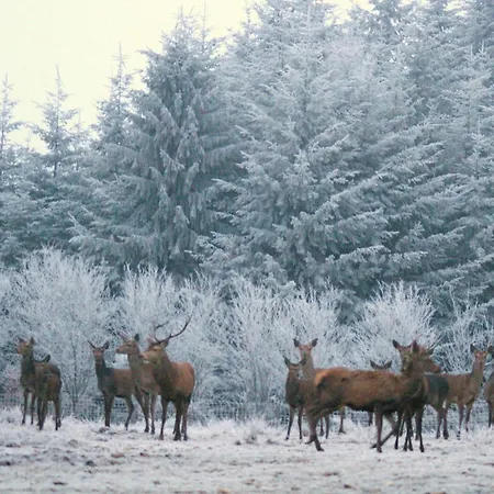 Pensjonat Le K D'or Bouillon